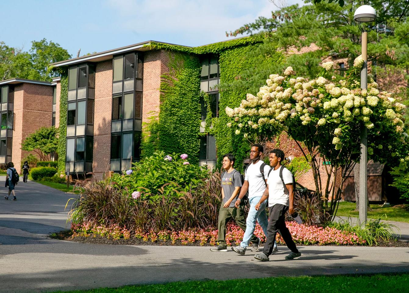 三名男生走在大学校园里，经过鲜花和宿舍